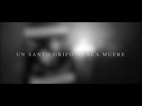 UN SANTO GRIFO NUNCA MUERE \\YUSARK REGOS//