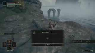 初見でエルデンリング！