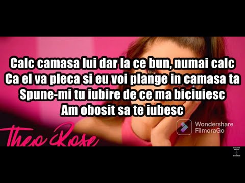 Theo Rose - Camasa  Lyrics Versuri
