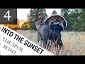 Setting Up For EVENING TURKEYS PUBLIC LAND HUNTING THE SPUR ROAD