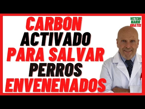 Activated Charcoal Tablets for Dogs 🔴 What to do in case of Dog Poisoning 🔴