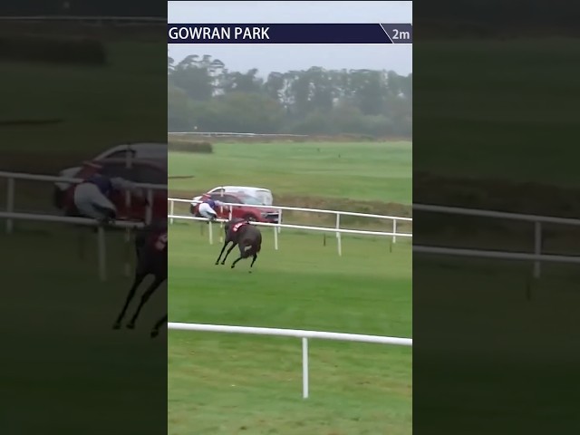 Thumbnail for Post ID: qxxCdBP06ng