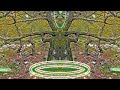 Rick Wakeman - Monkey Nuts