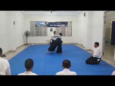 [Horii Etsuji Shihan] Ai-hanmi Katate-dori Tenshin