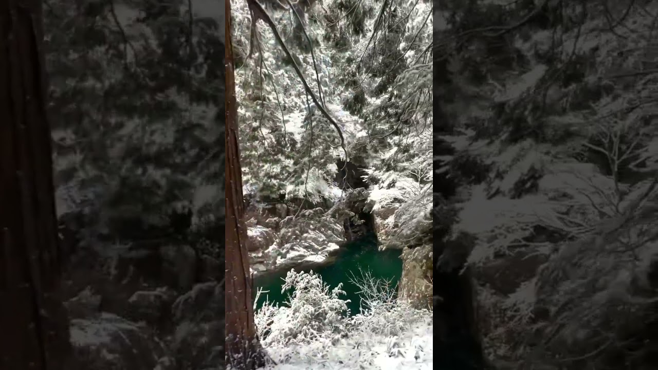 YouTube Short thumbnail