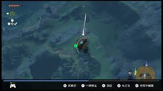 【奇跡？】ゼルダの伝説 ティアーズ オブ ザ キングダム　星のかけらを空中キャッチ！【超低確率？？】