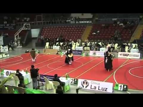 Concurso de Marinera El Nuevo Tunante 2013 - FINAL ADULTO