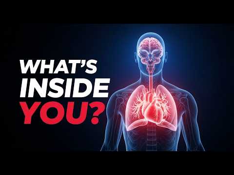 Human Anatomy Explained | Complete Body Overview for Beginners