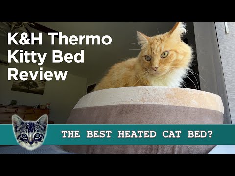 K&H Thermo Kitty Heated Cat Bed Review - Our Cats and Foster Cats Give It a Sleep Test!