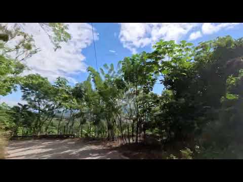 Bajando de Senahú hacia el Valle del Polochic, Telemán, Panzós Alta Verapaz