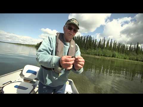 Fly Fishing Tips & Advice from Brian Dack at Wellesley Lake, the Yukon, Canada