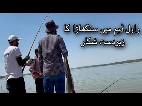 Catfishing { Hook & Cook } in Rawal Dam Pakistan | سنگھاڑا مچھلی کا شکار | Fishing in Pakistan 2021