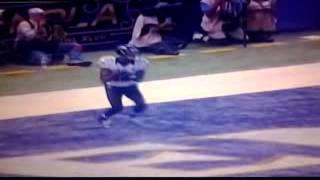 preview picture of video 'Jacoby Jones superbowl touchdown'