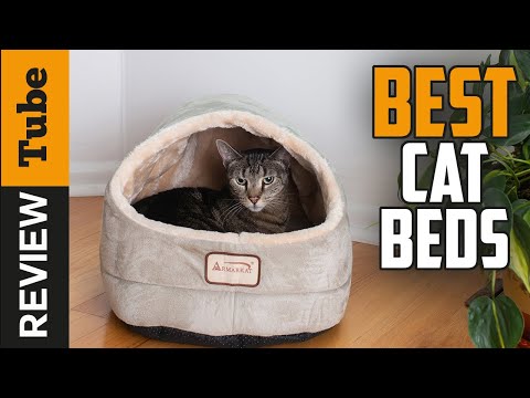 ✅ Cat Bed: Best Cat Beds 2021 (Buying Guide)