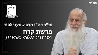 מו"ר רה"י הרב שמעון לפיד שליט"א | שבת פרשת קורח | פריחת מטה אהרון (ישיבת אור עציון) - התמונה מוצגת ישירות מתוך אתר האינטרנט יוטיוב. זכויות היוצרים בתמונה שייכות ליוצרה. קישור קרדיט למקור התוכן נמצא בתוך דף הסרטון