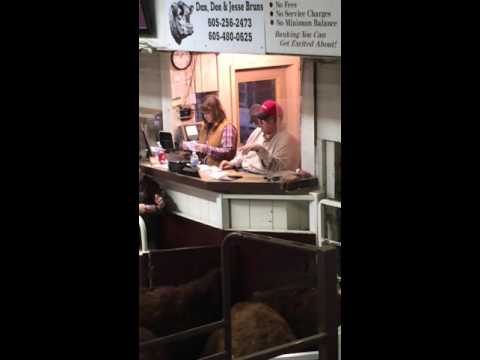 Wayne Bessman Auctioneer