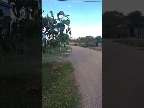 Calle Partera Selfa Pazos