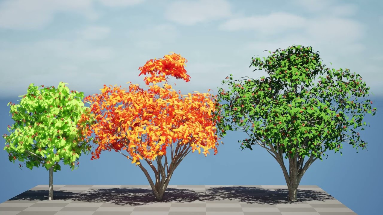 &Aacute;rvore frut&iacute;fera de freixo da montanha europeia flamenga Modelo 3D