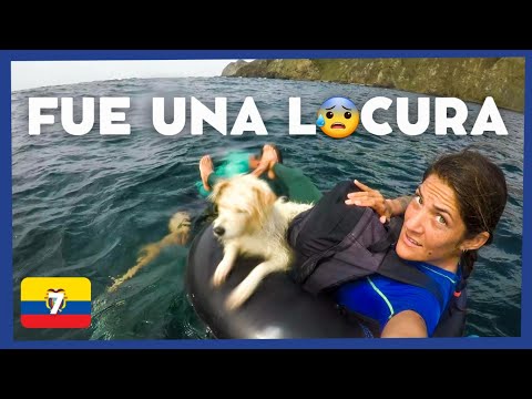 Video Principal Ecuador