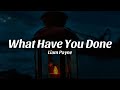 What Have You Done Liam Payne Lyrics