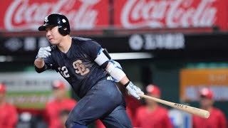 ネビン離脱の危機…それでも西武が見せた奇跡のサヨナラ劇🔥⚾#西武ライオンズ#サヨナラ勝ち#プロ野球#交流戦#劇的勝利#ベルーナドーム#野球ハイライト#感動スポーツ#ネビン#高校野球応援