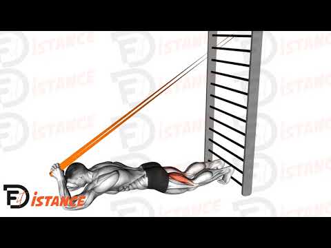 Exercice Leg curl nordique élastique