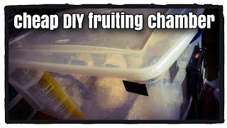 Cheap, Easy DIY Mushroom Fruiting Chamber