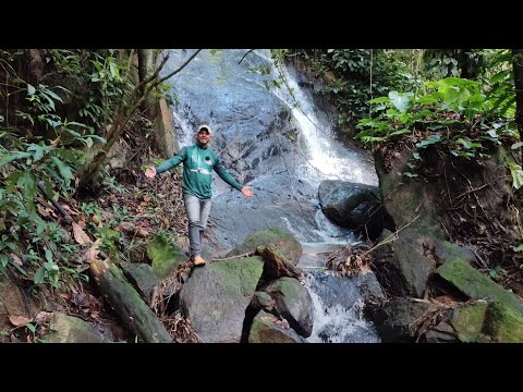 À venda na zona rural de Catende Pernambuco 3 hectares $70 mil compras e venda 