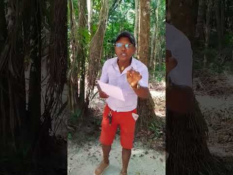 Balneário da loura na cidade de Ourém para. venha visitar