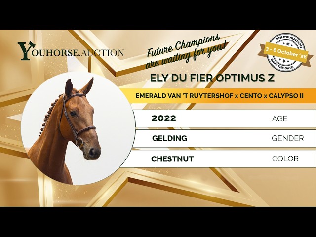 Ely du Fier optimus z
