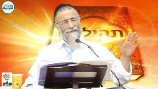 הרב מיכאל לסרי | חג השבועות - מעלת התורה וקדושה וכוחה לשנות את חיינו 👑