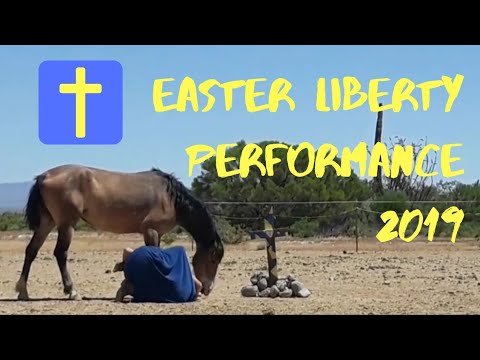 LIBERTY PERFORMANCE // Easter 2019 || BLM Mustang Delilah