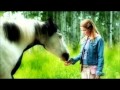 My Top 10 Favorite Horse Movies! 
