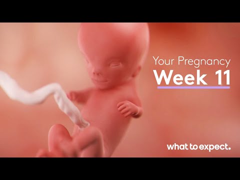Mother-Baby developments this week (week 11)