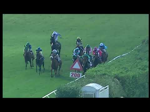 Napoli Galoppo 8/11/2021 - 5ª corsa