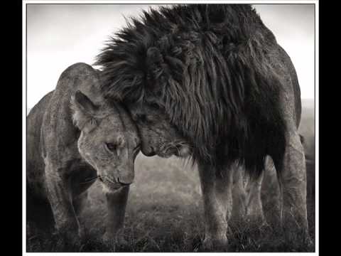 Boss Nova All-Star Ensemble - Bad Romance (made famouse by Lady Gaga)