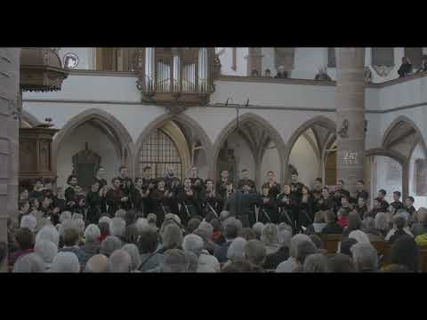 Arkuashaga Tanzlied - Knabenchor «Mdzlevari», Georgien - EJCF 2023