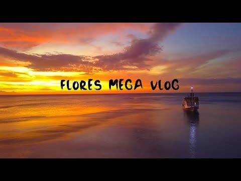 Travel Vlogs - Indonesia - FLORES - PULAU PADAR - MOYO ISLAND - WANUA ADVENTURE