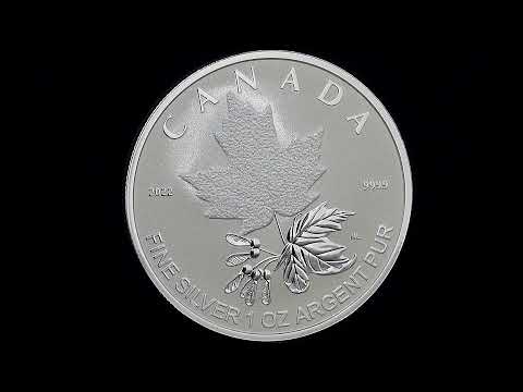 Pure Silver Fractional Set - A Radiant Crown