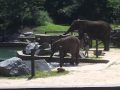 PBS Kids Shoot At The Maryland Zoo