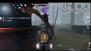 ブギブギ男 のライブ ストリーム