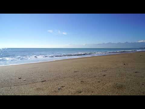 Natural sea bich 😄😂😆😄