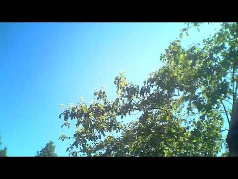 Kurz nach dem 2.A-Finale 17.5GT - HPI Burgdorf - 20.05.2018