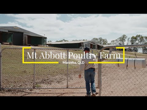 59 Martin Road, Mareeba, QLD 4880, 0房, 0浴, Lifestyle Property