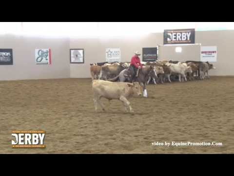 White Knight Time ridden by Anne M. Albert  - 2016 NRCHA Derby (Prelims - Herd Work, NP Ltd.)