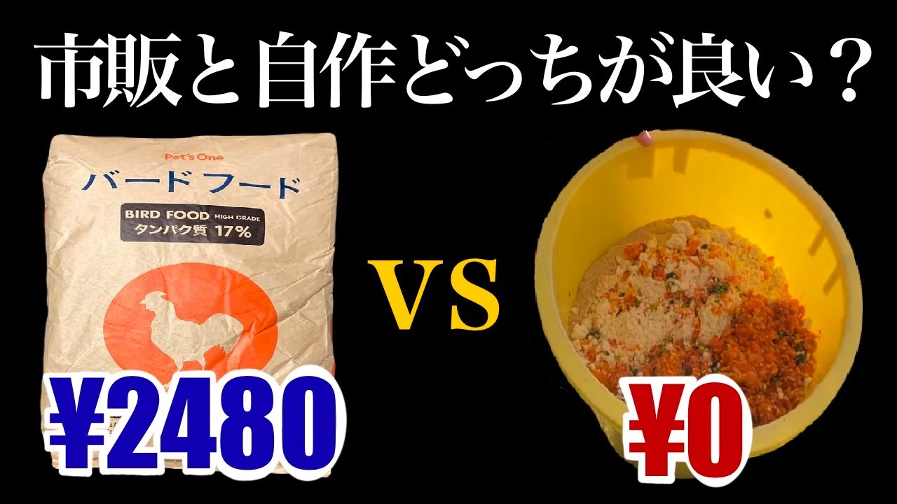 結局ニワトリの餌は何が正解なの？