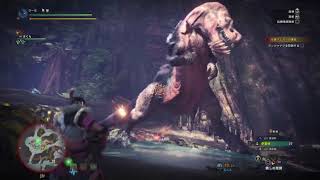【MHW】狩り初心者が達人になるべく実況？してみた☆23(大蟻塚の荒地編)