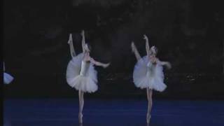 Swan Lake Act II - Big Swans' Dance