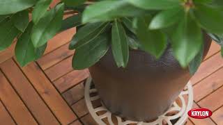 Krylon 2026 Color of the Year, Matte Coffee Bean