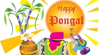 Happy Pongal wishes to family and friends | whatsapp status video free download | Pongal greetings